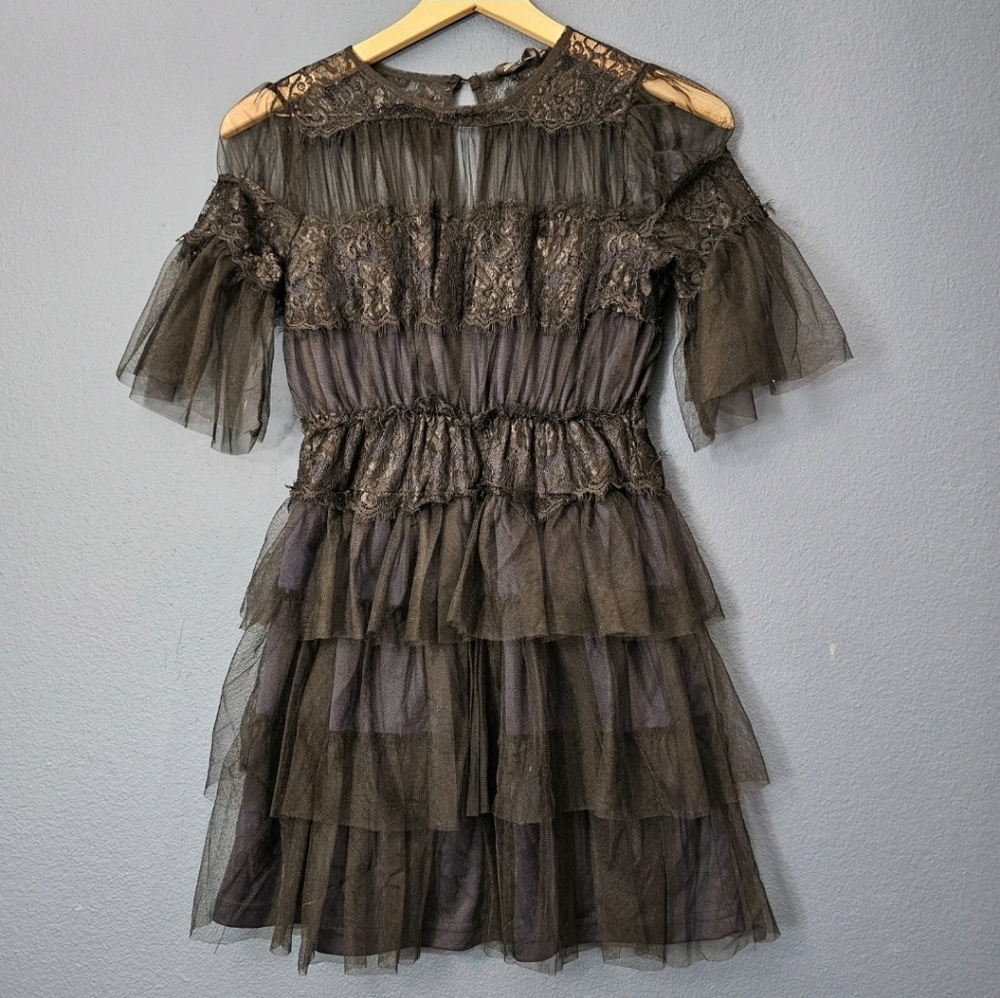 Zara • Lace‎ & Mesh Tiered Dress
